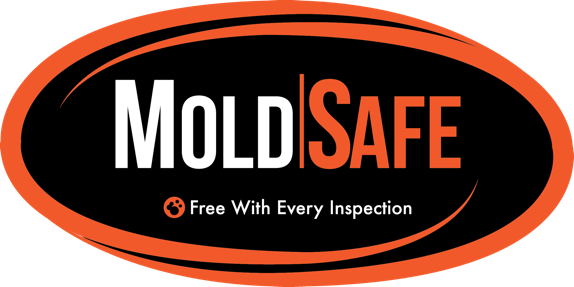 mold safe home inspections